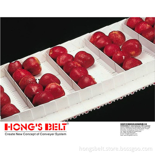The Fruit Industry Modular Conveyor Belt (HS-100A)